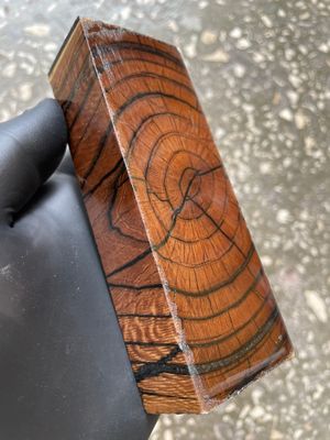 Mammoth Tusk Block Stabilized – Fossil Knife Handle Material for Custom Knives 5.11-1.85-1.10 inch TUB37