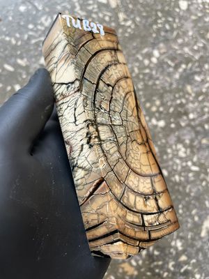 Mammoth Tusk Block Stabilized – Fossil Knife Handle Material for Custom Knives 5.27-1.73-1.10 inch TUB28