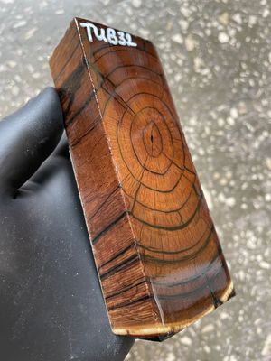 Mammoth Tusk Block Stabilized – Fossil Knife Handle Material for Custom Knives 5.19-1.88-1.14 inch TUB32