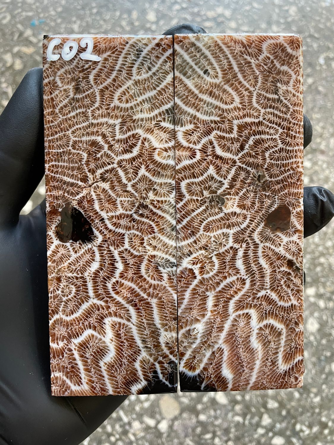 Coral Knife Scales Pair Rare Stabilized Fossil Handle Material for Custom Knives 5.11-1.81-0.39 inch CO2