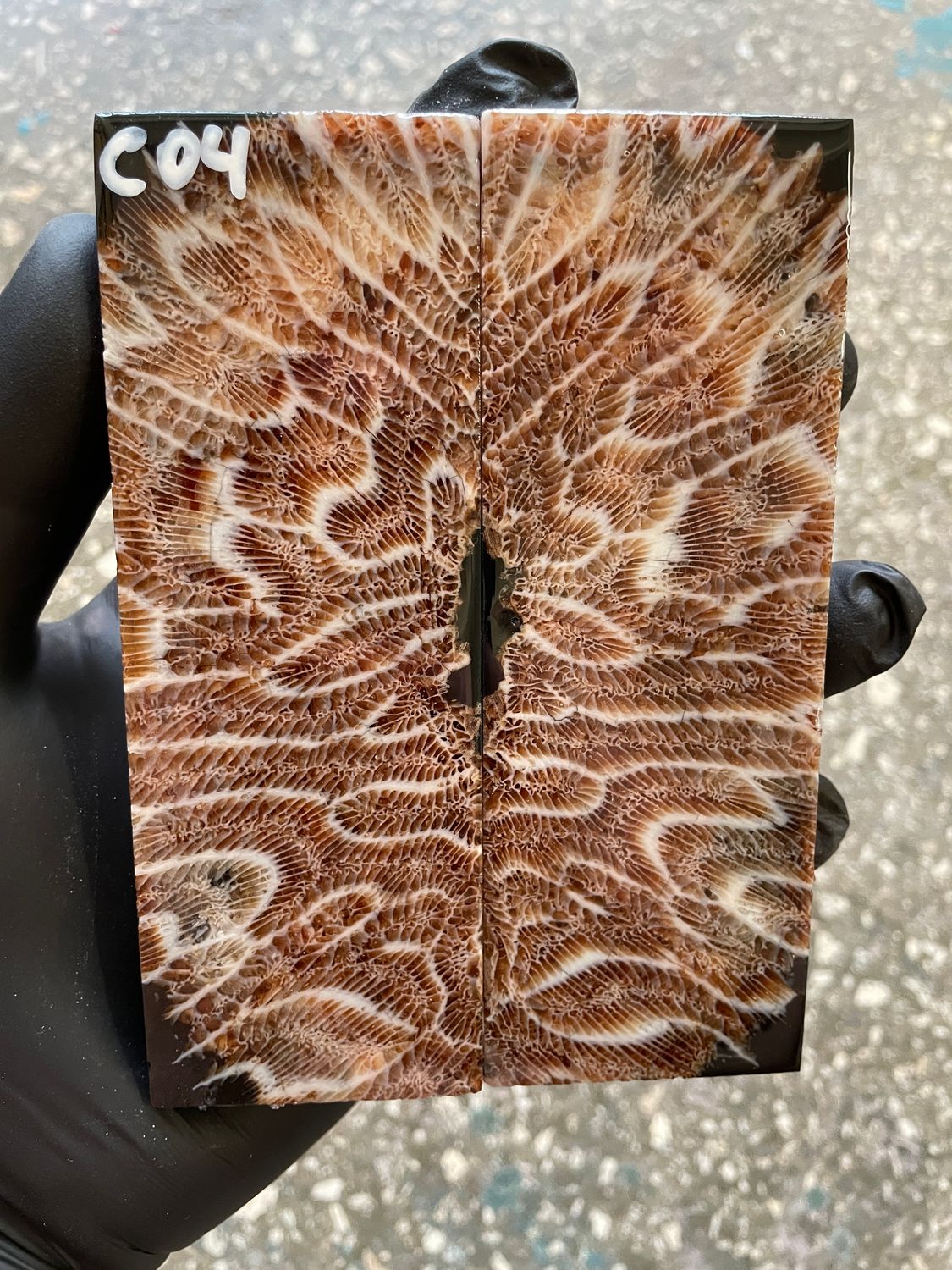 Coral Knife Scales Pair Rare Stabilized Fossil Handle Material for Custom Knives 5.11-1.81-0.47 inch CO4