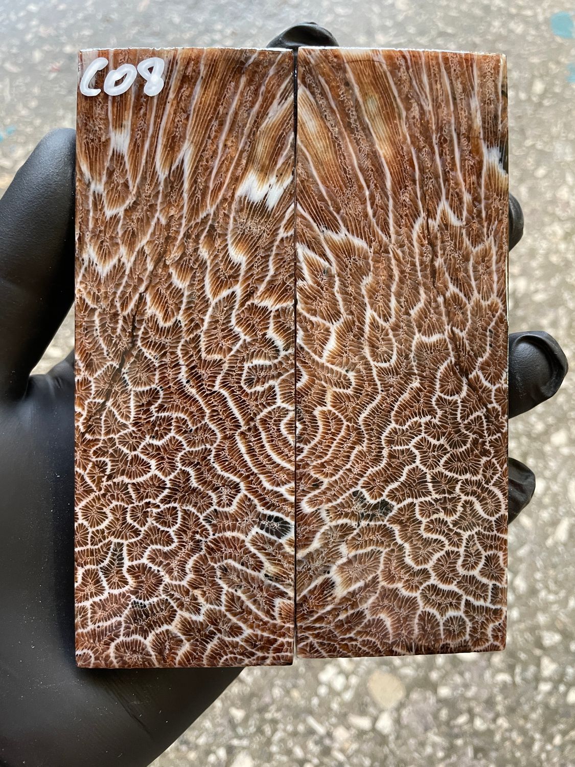 Coral Knife Scales Pair Rare Stabilized Fossil Handle Material for Custom Knives 5.11-1.81-0.39 inch CO8