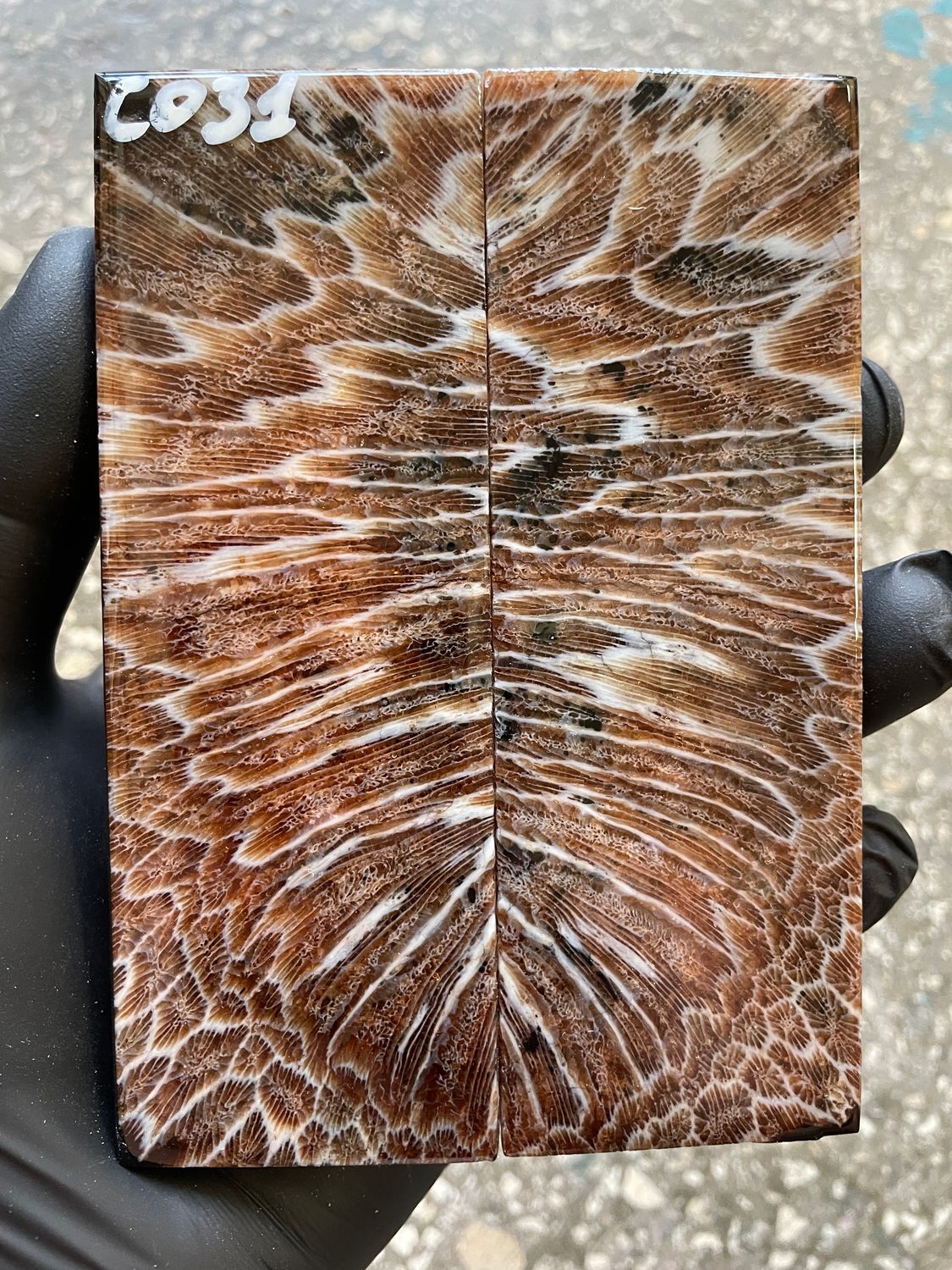 Coral Knife Scales Pair Rare Stabilized Fossil Handle Material for Custom Knives 5.19-1.77-0.39 inch CO31