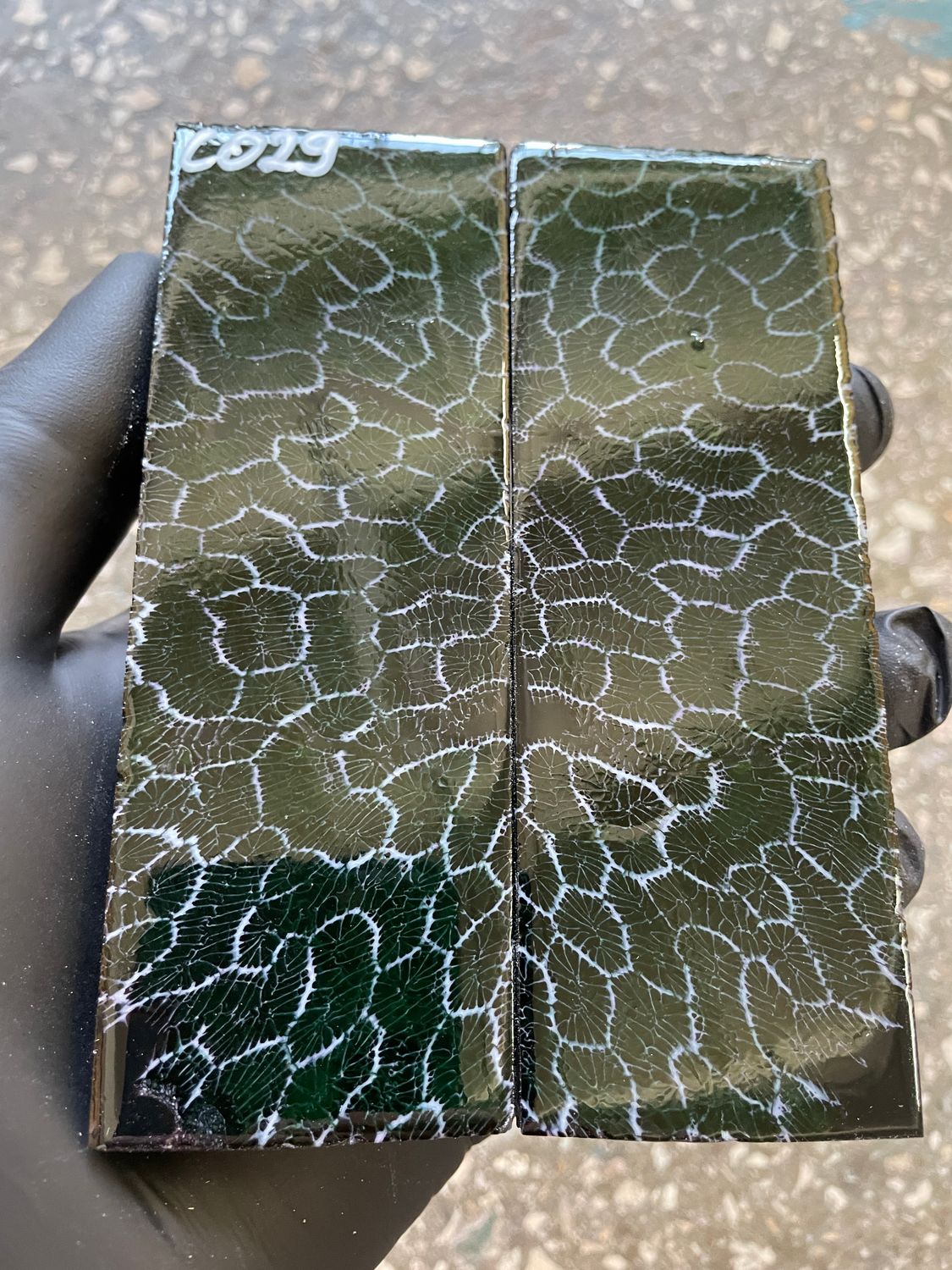 Coral Knife Scales Pair Rare Stabilized Fossil Handle Material for Custom Knives 5.03-1.77-0.43 inch CO29