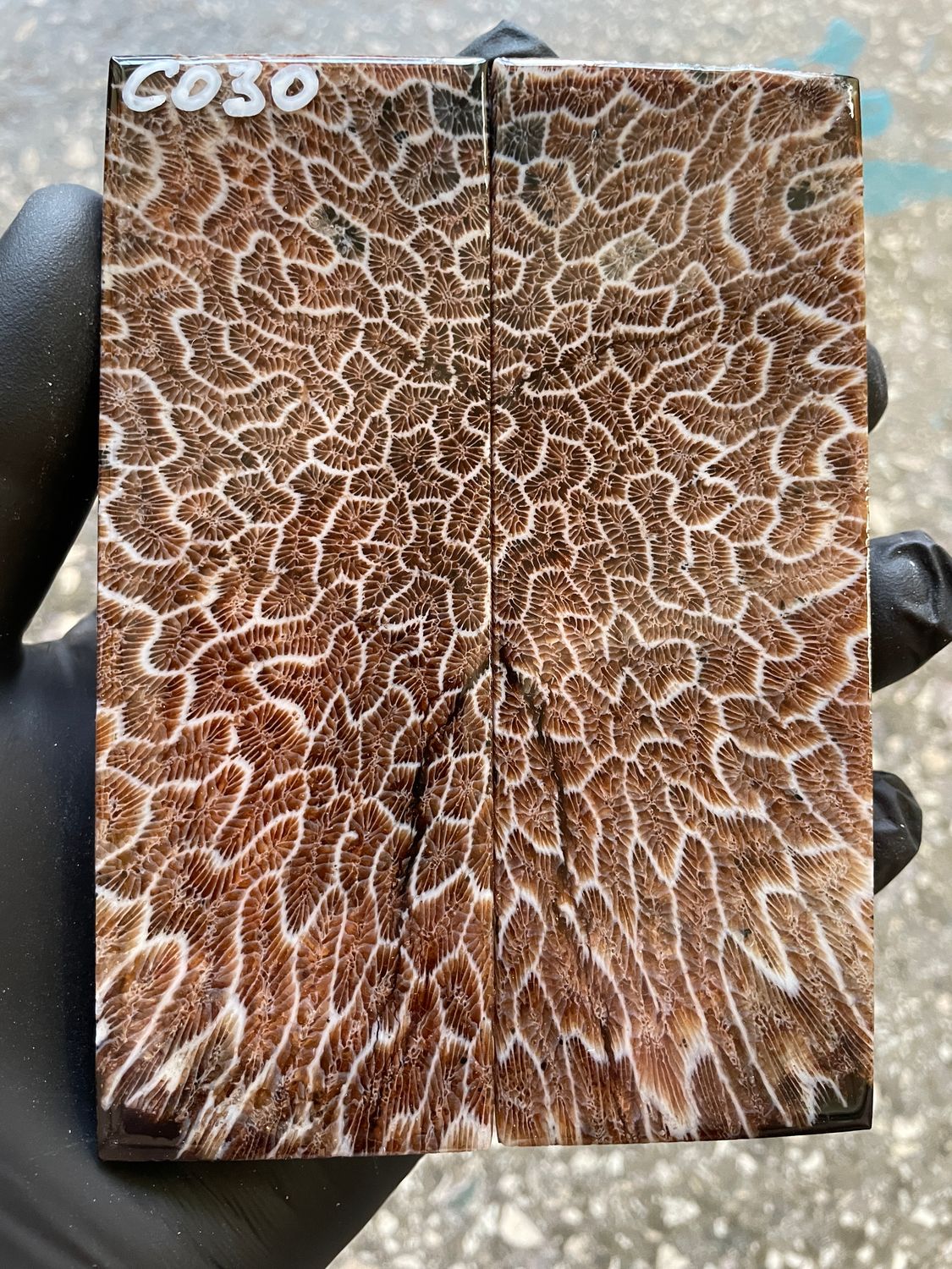 Coral Knife Scales Pair Rare Stabilized Fossil Handle Material for Custom Knives 5.11-1.81-0.39 inch CO30