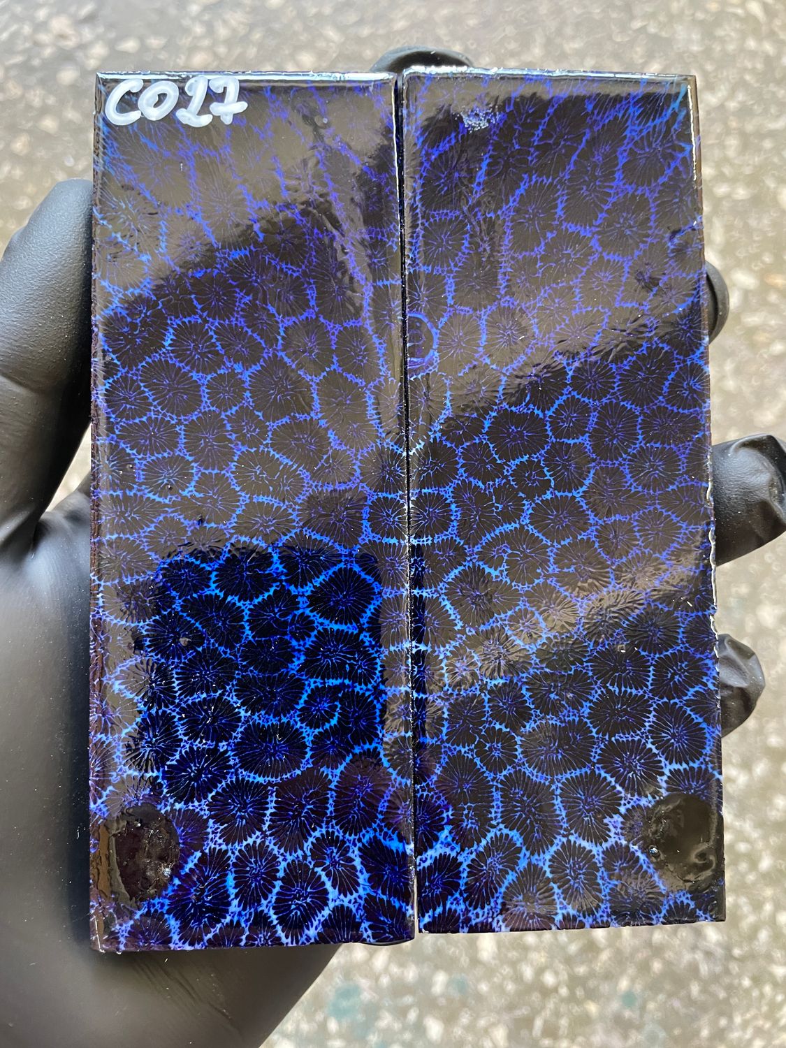 Coral Knife Scales Pair Rare Stabilized Fossil Handle Material for Custom Knives 5.11-1.81-0.43 inch CO27