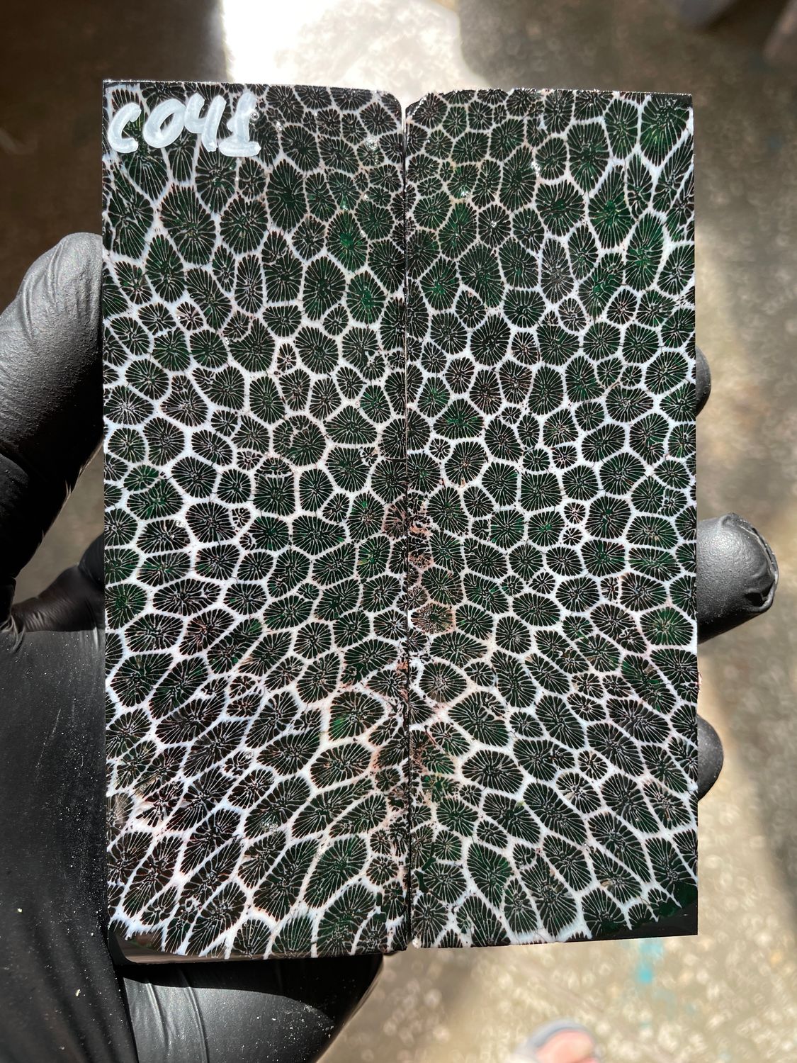 Stabilized coral knife scales pair for custom knife handle fossil material CO41