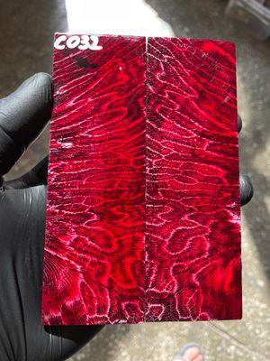 Stabilized coral knife scales pair for custom knife handle fossil material CO32