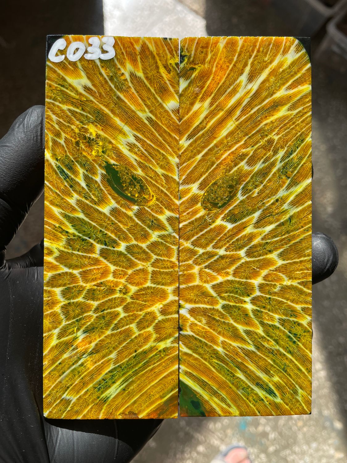 Stabilized coral knife scales pair for custom knife handle fossil material CO33