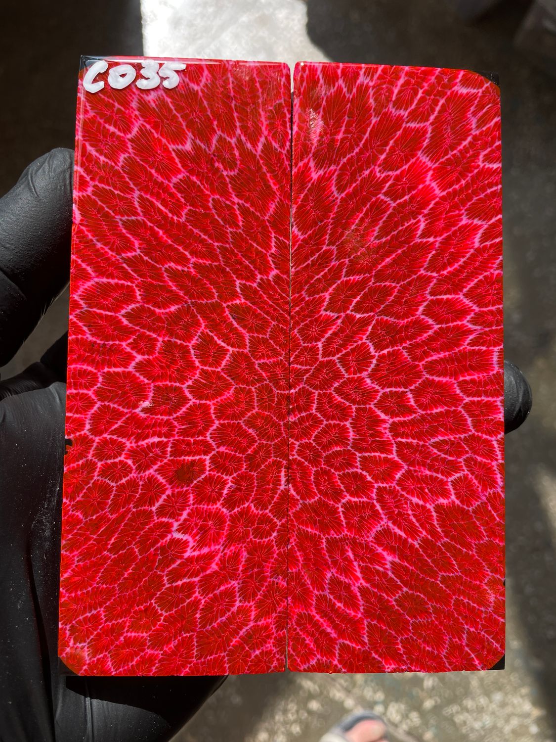 Coral knife scales for knifehandle CO35