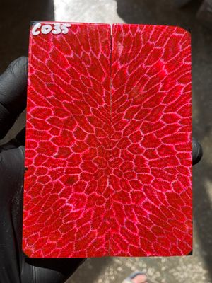 Coral knife scales for knifehandle CO35