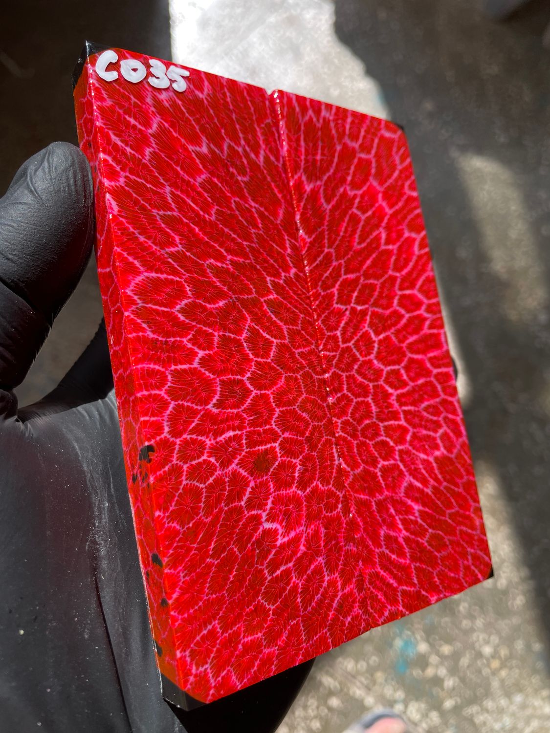 Rare coral knife handle scales stabilized with resin unique one of a kind set