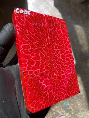 Rare coral knife handle scales stabilized with resin unique one of a kind set