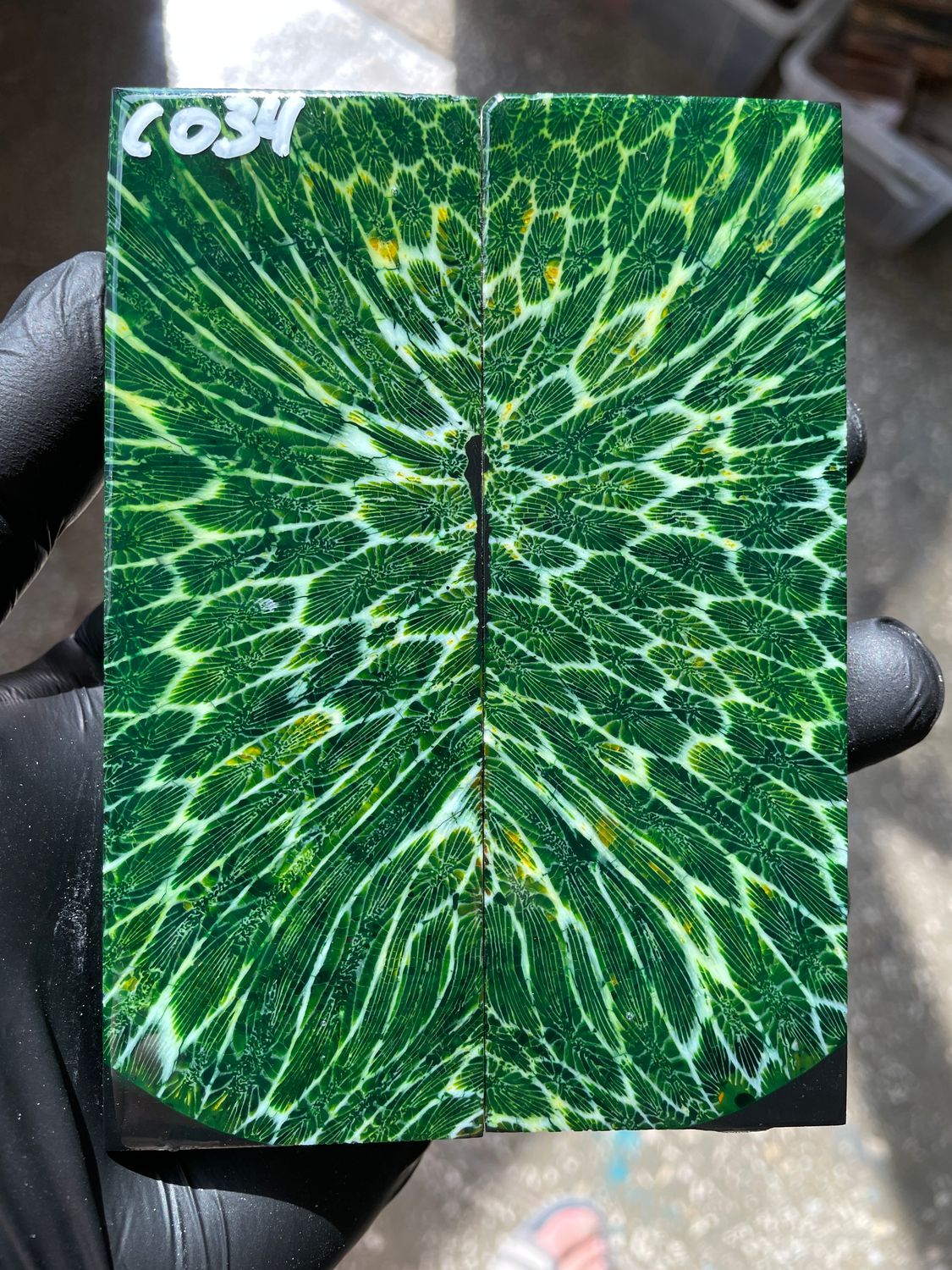 Stabilized coral knife scales pair for custom knife handle fossil material CO34