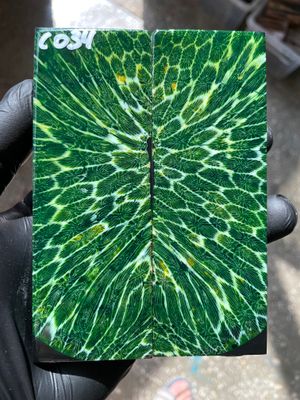 Stabilized coral knife scales pair for custom knife handle fossil material CO34