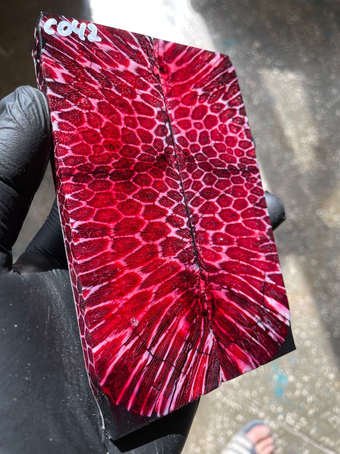 Rare coral knife handle scales stabilized with resin unique one of a kind set