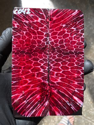 Stabilized coral knife scales pair for custom knife handle fossil material CO42