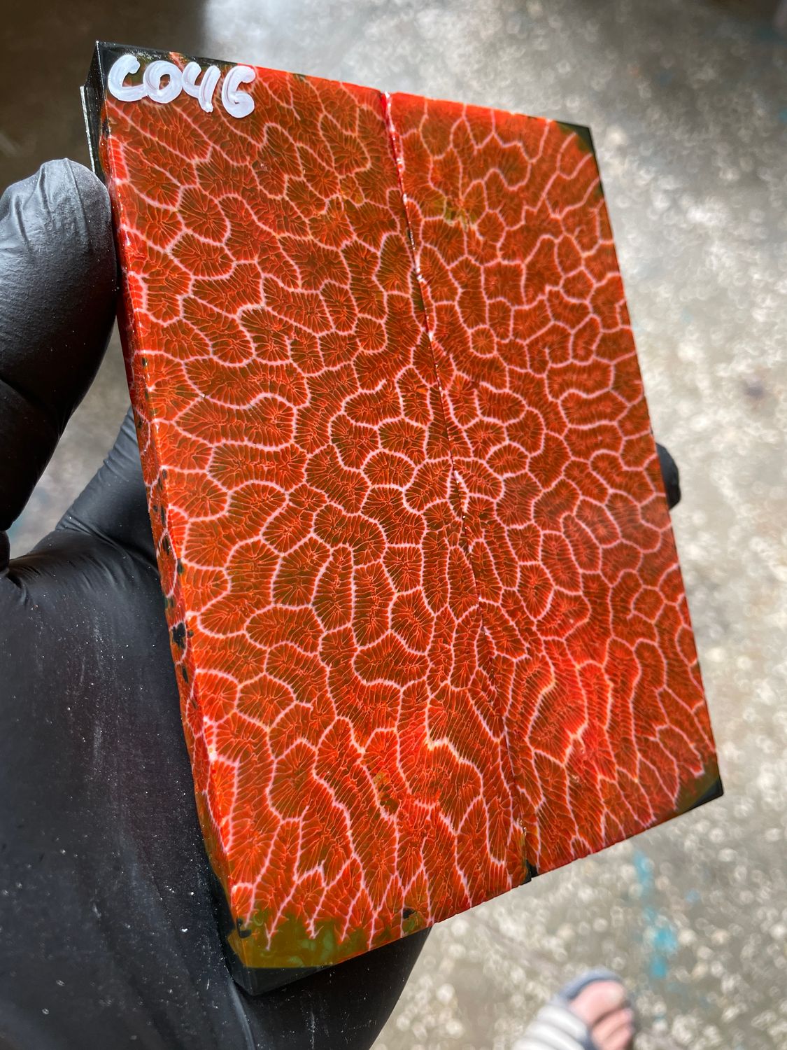 Rare coral knife handle scales stabilized with resin unique one of a kind set