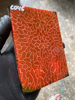 Rare coral knife handle scales stabilized with resin unique one of a kind set