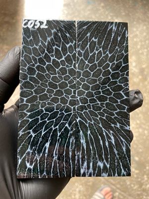 Stabilized coral knife scales pair for custom knife handle fossil material CO52