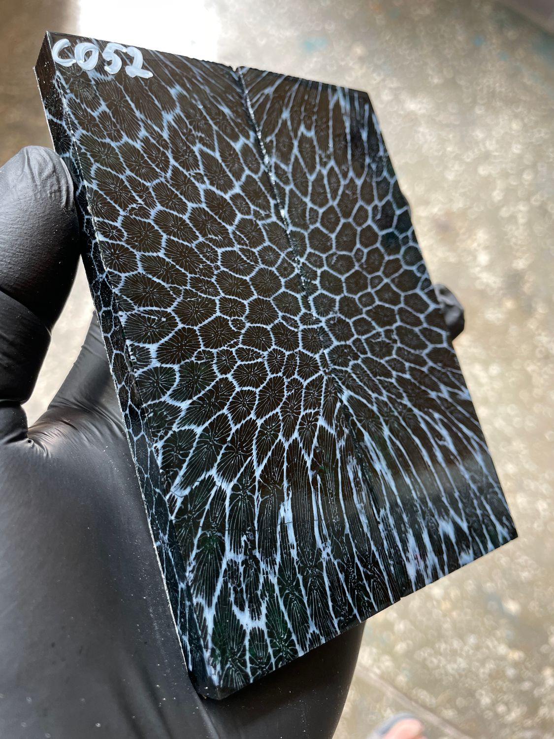 Rare coral knife handle scales stabilized with resin unique one of a kind set