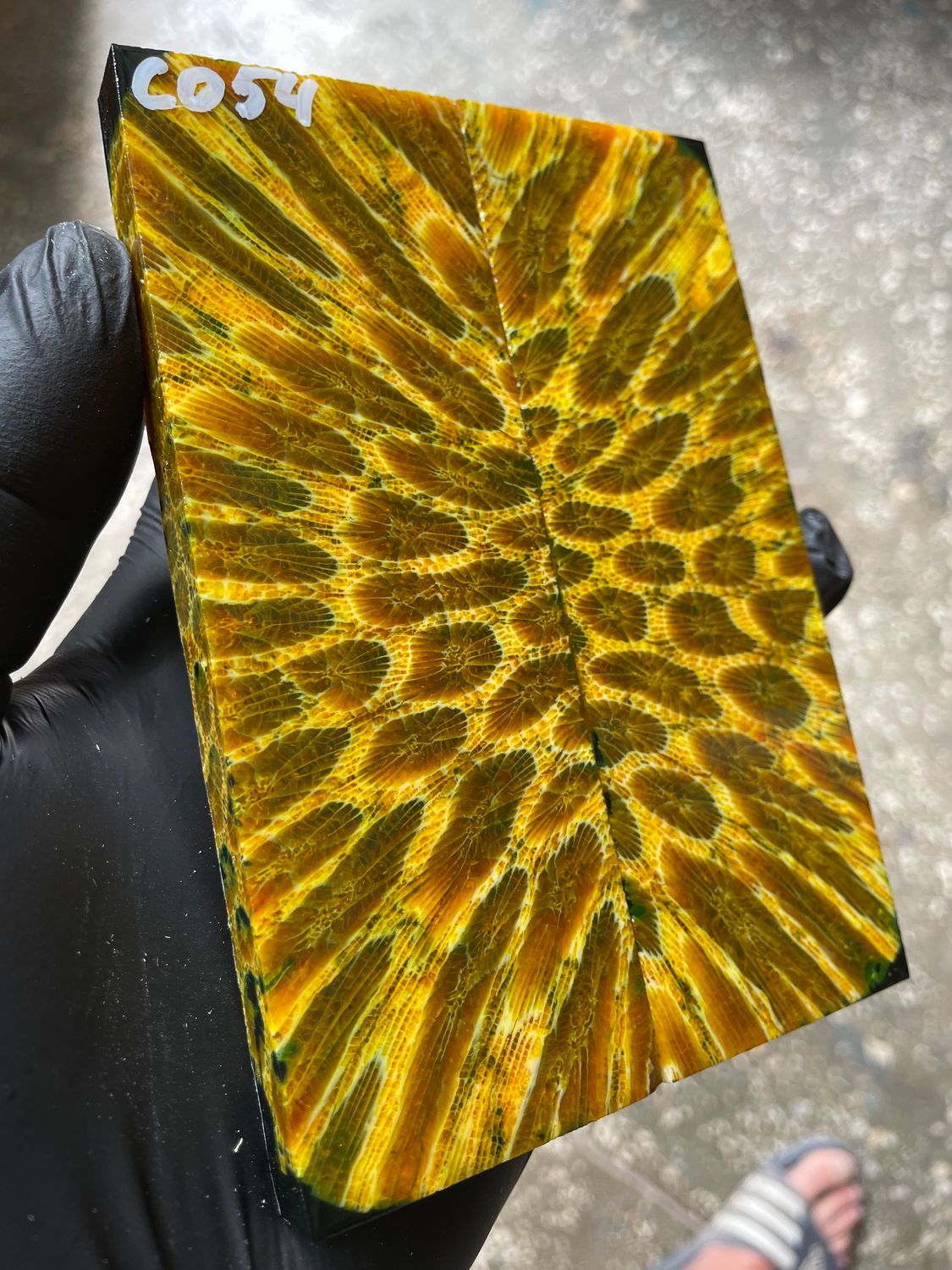 Rare coral knife handle scales stabilized with resin unique one of a kind set
