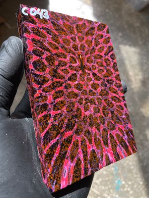 Rare coral knife handle scales stabilized with resin unique one of a kind set