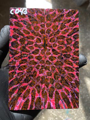 Stabilized coral knife scales pair for custom knife handle fossil material CO43
