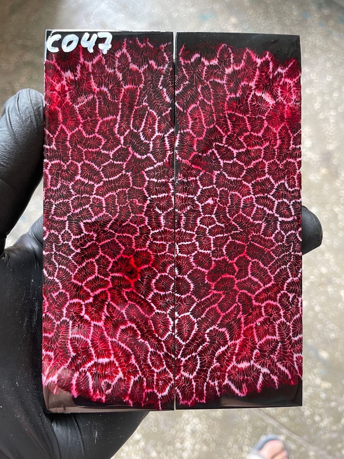 Stabilized coral knife scales pair for custom knife handle fossil material CO47