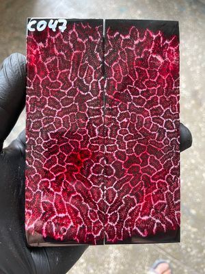 Stabilized coral knife scales pair for custom knife handle fossil material CO47