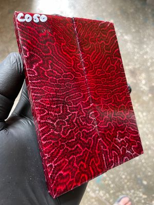Rare coral knife handle scales stabilized with resin unique one of a kind set
