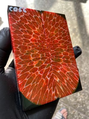 Rare coral knife handle scales stabilized with resin unique one of a kind set
