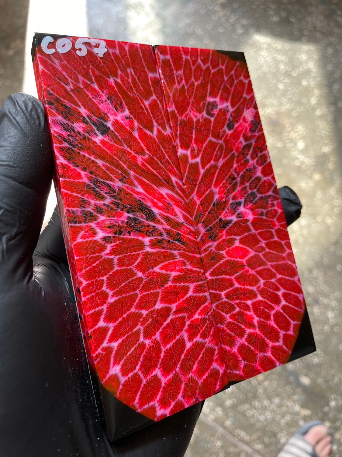Rare coral knife handle scales stabilized with resin unique one of a kind set