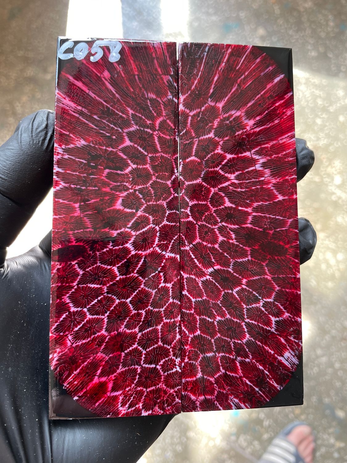 Stabilized coral knife scales pair for custom knife handle fossil material CO58