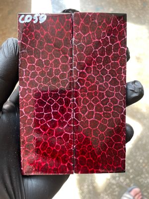 Stabilized coral knife scales pair for custom knife handle fossil material CO59