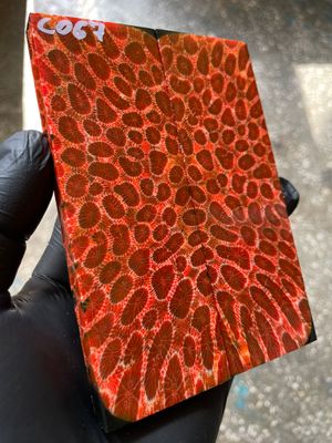 Rare coral knife handle scales stabilized with resin unique one of a kind set