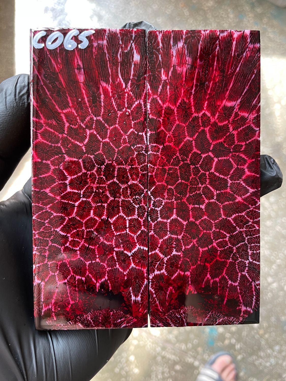 Stabilized coral knife scales pair for custom knife handle fossil material CO65