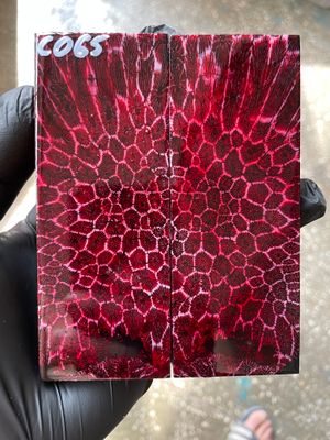 Stabilized coral knife scales pair for custom knife handle fossil material CO65