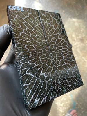 Rare coral knife handle scales stabilized with resin unique one of a kind set