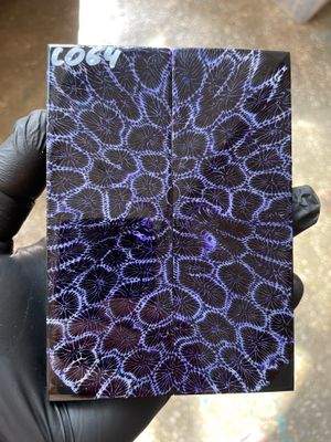 Stabilized coral knife scales pair for custom knife handle fossil material CO64
