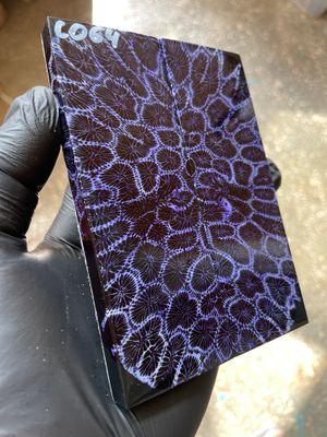 Rare coral knife handle scales stabilized with resin unique one of a kind set