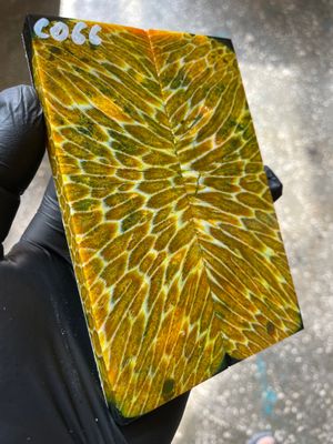 Rare coral knife handle scales stabilized with resin unique one of a kind set