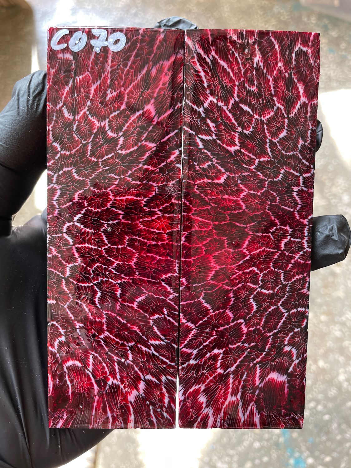 Stabilized coral knife scales pair for custom knife handle fossil material CO70