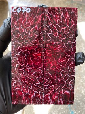 Stabilized coral knife scales pair for custom knife handle fossil material CO70