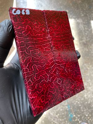 Rare coral knife handle scales stabilized with resin unique one of a kind set