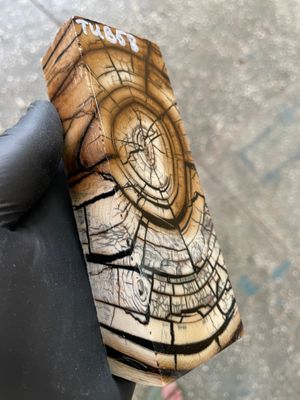 Mammoth Tusk Block Stabilized – Fossil Knife Handle Material for Custom Knives 5.31-1.81-1.18 inch TUB58