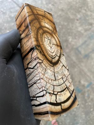 Mammoth Tusk Block Stabilized – Fossil Knife Handle Material for Custom Knives 5.31-1.81-1.18 inch TUB58