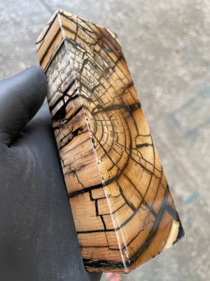 Mammoth Tusk Block Stabilized – Fossil Knife Handle Material for Custom Knives 5.27-1.81-1.18 inch TUB45
