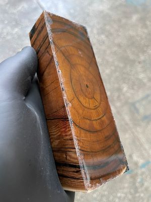 Mammoth Tusk Block Stabilized – Fossil Knife Handle Material for Custom Knives 5.19-1.81-1.18 inch TUB56