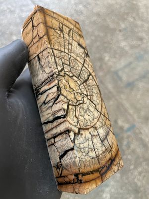 Mammoth Tusk Block Stabilized – Fossil Knife Handle Material for Custom Knives 5.27-1.81-1.18 inch TUB43